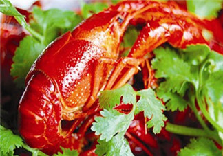 釣小龍蝦用什么餌？釣小龍蝦用什么誘餌最好？