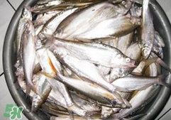 翹殼是什么魚？翹殼魚多少錢一斤2017？