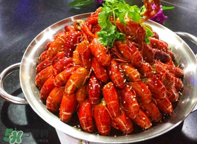 油燜大蝦吃哪些部位？怎么正確吃油燜大蝦？