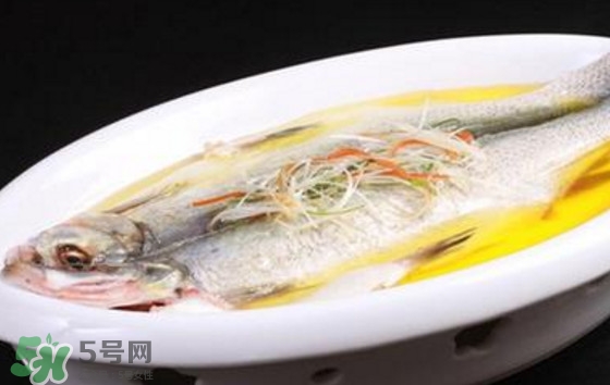 孕婦可以吃白條魚嗎？白條魚孕婦能吃嗎？