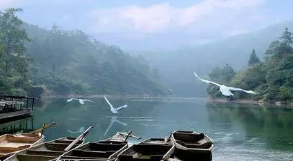 馬口魚能養(yǎng)殖嗎？馬口魚怎么養(yǎng)？