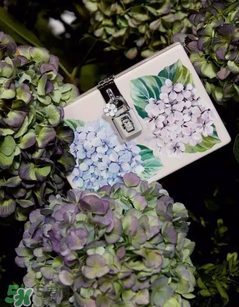 dolce gabanna杜嘉班納2017秋冬繡球花系列怎么樣_好看嗎？