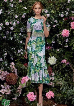 dolce gabanna杜嘉班納2017秋冬繡球花系列怎么樣_好看嗎？