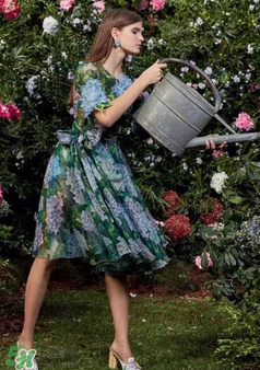 dolce gabanna杜嘉班納2017秋冬繡球花系列怎么樣_好看嗎？