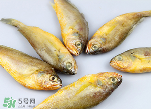 小黃魚不能和什么一起吃？小黃魚和什么相克？