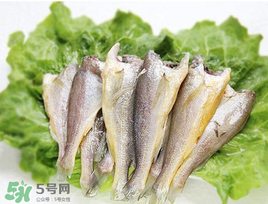 小黃魚可以養(yǎng)殖嗎？小黃魚能人工養(yǎng)殖嗎？