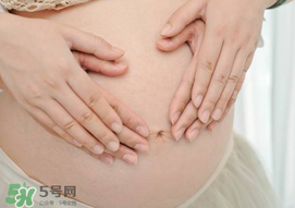 孕婦驅(qū)蚊植物推薦 孕婦能用植物驅(qū)蚊嗎？