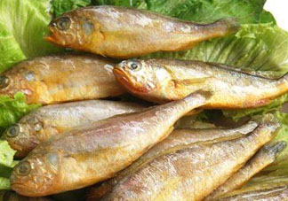 小黃魚多少錢一斤？野生小黃魚多少錢一斤？