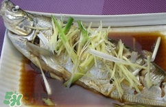 白條魚多少錢一斤2017？野生白條魚多少錢一斤