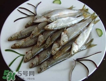 白條魚多少錢一斤2017？野生白條魚多少錢一斤