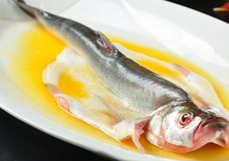 白條魚能長多大？白條魚可以長多大？