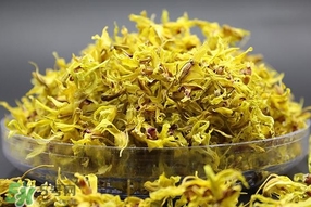 鐵皮石斛開花了怎么辦？鐵皮石斛的花怎么吃