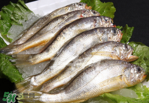 小黃魚不能和什么一起吃？小黃魚和什么相克？