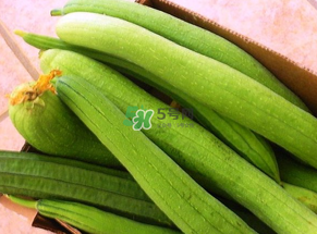 7月份吃什么蔬菜？七月份吃什么蔬菜？