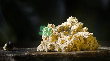 艾絨怎么保存不發(fā)霉？艾絨如何保存不受潮