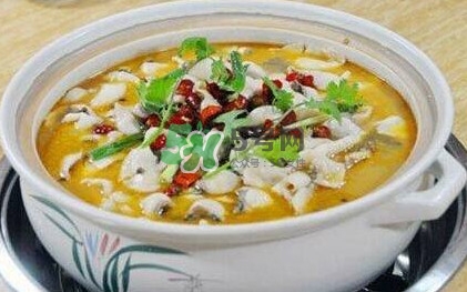 酸菜魚是哪個地方的菜？酸菜魚是什么魚？