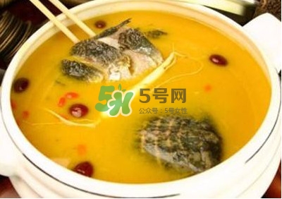 甲魚湯怎么做？甲魚湯的做法