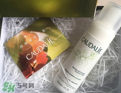 歐緹麗葡萄潔顏摩絲怎么樣_好用嗎 歐緹麗葡萄潔顏摩絲怎么樣_好用嗎