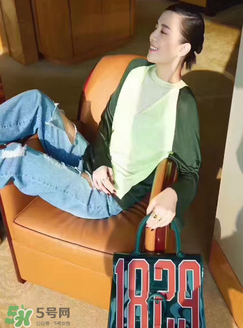 delvaux1829包多少錢(qián)？delvaux1829透明手袋專(zhuān)柜價(jià)格