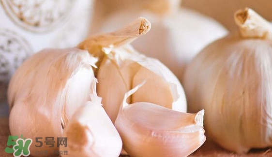 新蒜頭怎么弄成老蒜頭？新蒜頭和老蒜頭的區(qū)別