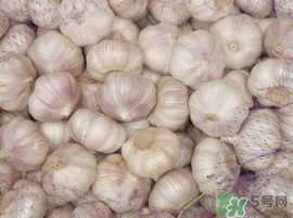 新蒜頭什么時候上市？新蒜頭幾月份上市