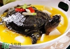 甲魚湯孕婦能喝嗎？甲魚湯孕婦可以喝嗎