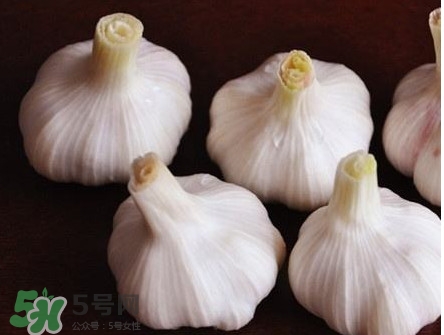 新蒜頭怎么弄成老蒜頭？新蒜頭和老蒜頭的區(qū)別