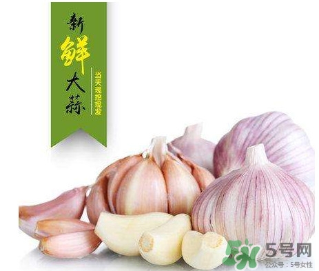 新蒜頭什么時候上市？新蒜頭幾月份上市