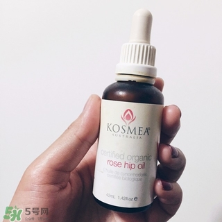 kosmea玫瑰果油多少錢?kosmea玫瑰果油專柜價格 kosmea玫瑰果油多少錢?kosmea玫瑰果油專柜價格