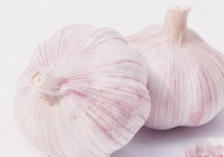 新蒜頭多少錢一斤2017？新蒜頭市場價格