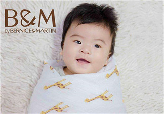 伯斯馬丁怎么樣？伯斯馬丁產(chǎn)品好嗎？