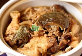 甲魚怎么做好吃？甲魚怎樣做最好吃