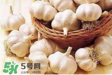 新蒜頭怎么保存不發(fā)芽？新蒜頭怎么存放