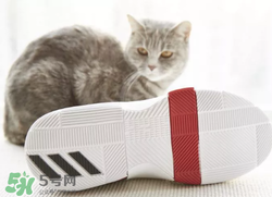 adidas dame3上腳怎么樣？阿迪達(dá)斯利拉德三代測評