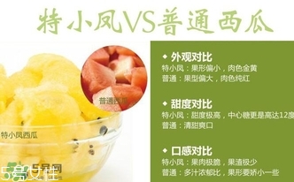 特小鳳西瓜孕婦能吃嗎？特小鳳西瓜孕婦可以吃嗎