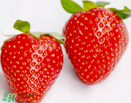 六月份還有草莓嗎？6月份的草莓能吃嗎？