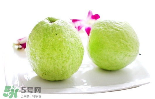 番石榴什么時候吃最好？番石榴什么季節(jié)吃最好