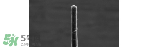 熊野巨匠小熊筆怎么用？熊野巨匠小熊去黑頭筆使用方法