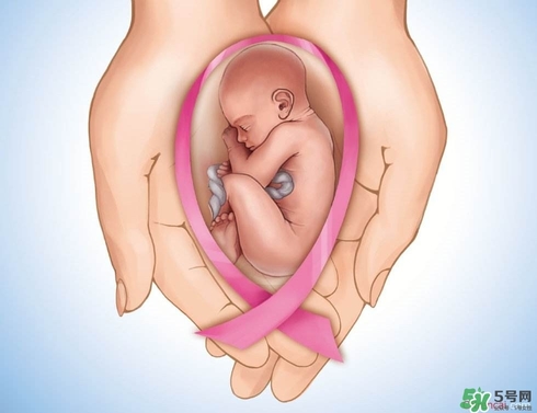 生育保險能報多少錢？生育保險報銷條件、流程