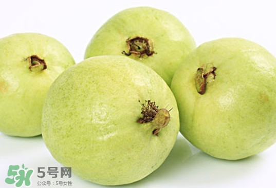 番石榴什么時候成熟？番石榴什么時候上市