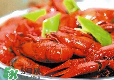 蝦黃孕婦能吃嗎？蝦黃在哪個(gè)位置圖解