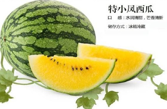 特小鳳西瓜是轉(zhuǎn)基因嗎？特小鳳西瓜是不是轉(zhuǎn)基因