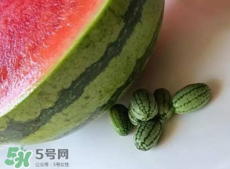 迷你西瓜是轉(zhuǎn)基因水果嗎？迷你西瓜是不是轉(zhuǎn)基因？