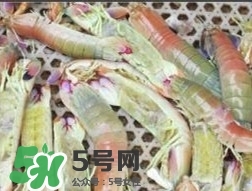 蝦黃孕婦能吃嗎？蝦黃在哪個(gè)位置圖解