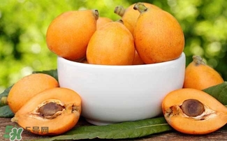 枇杷花怎么煲湯？枇杷花煲湯搭配什么最佳？