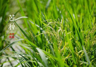 2017年芒種會(huì)下雨嗎？2017年芒種雨好嗎？