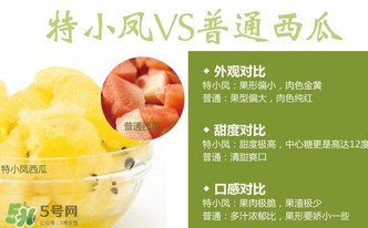 特小鳳西瓜多少錢(qián)一斤2017？特小鳳西瓜價(jià)格