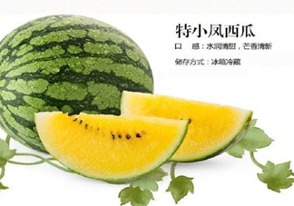 特小鳳西瓜是轉(zhuǎn)基因嗎？特小鳳西瓜是不是轉(zhuǎn)基因