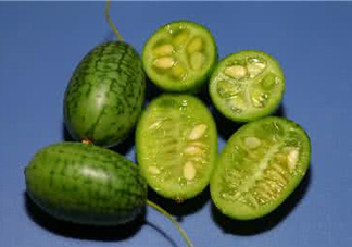 世界上最小的西瓜  迷你西瓜多少錢(qián)一個(gè)？