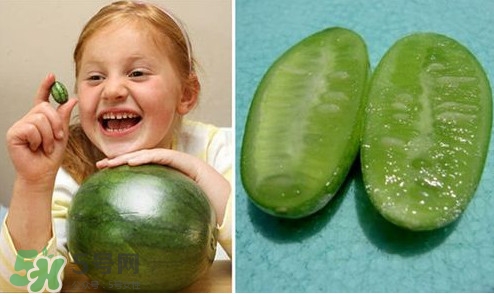 世界上最小的西瓜  迷你西瓜多少錢一個(gè)？